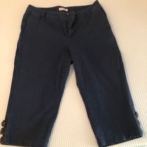 Coldwater Creek Capri Pants